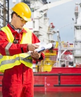 Vessel Inspection & Audit Coordination Department
